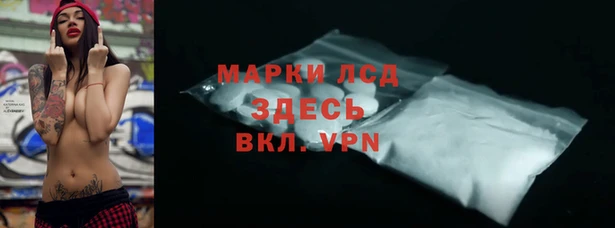 стаф Надым