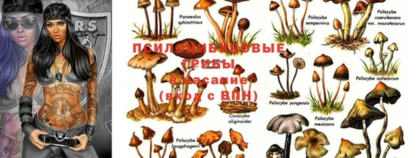 мяу мяу мука Навашино